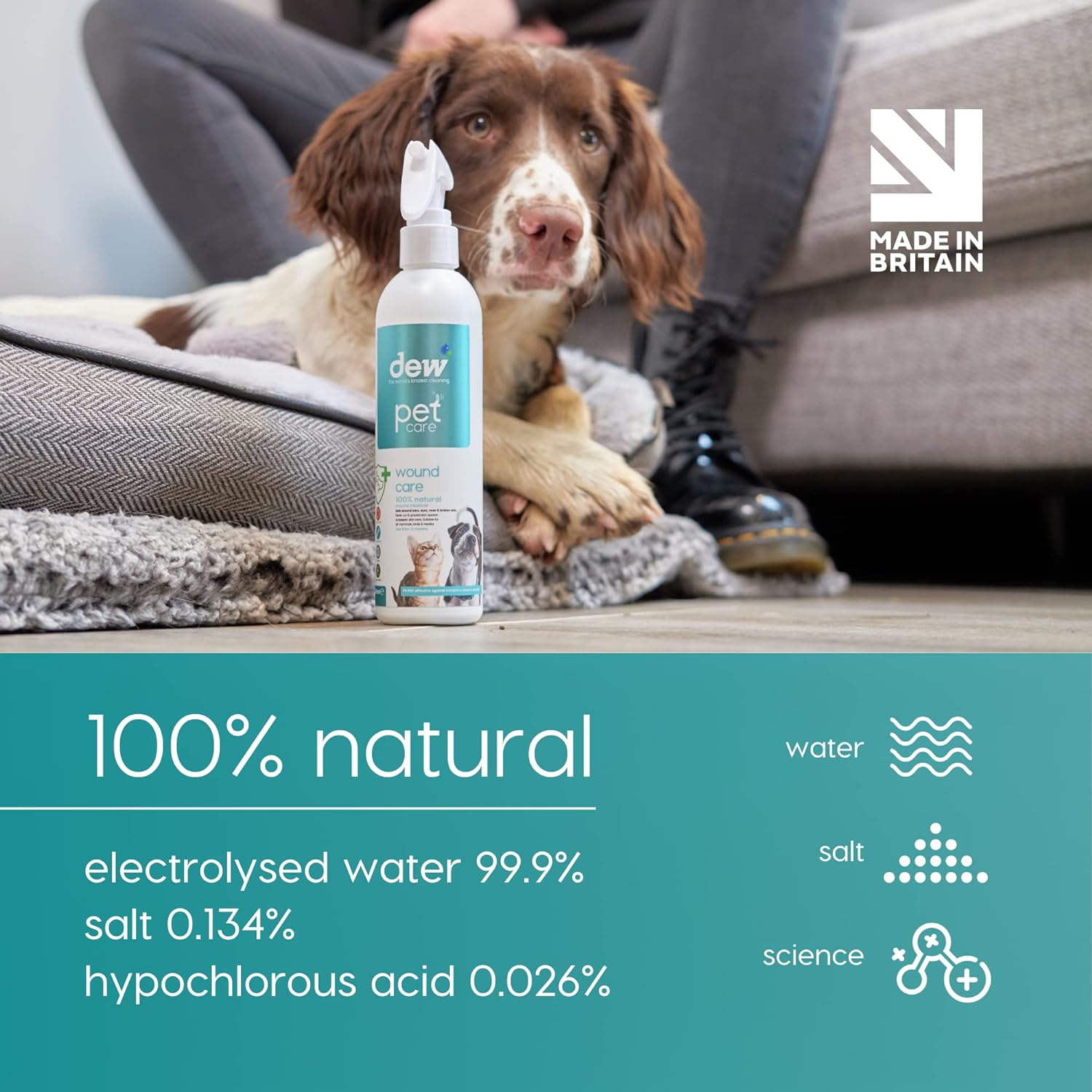 DEW Pet Wound Care Antiseptic &amp; Antifungal Spray for Itchy Dogs, Cats &amp; Animals All Types of Wounds 250ml 2.jpg