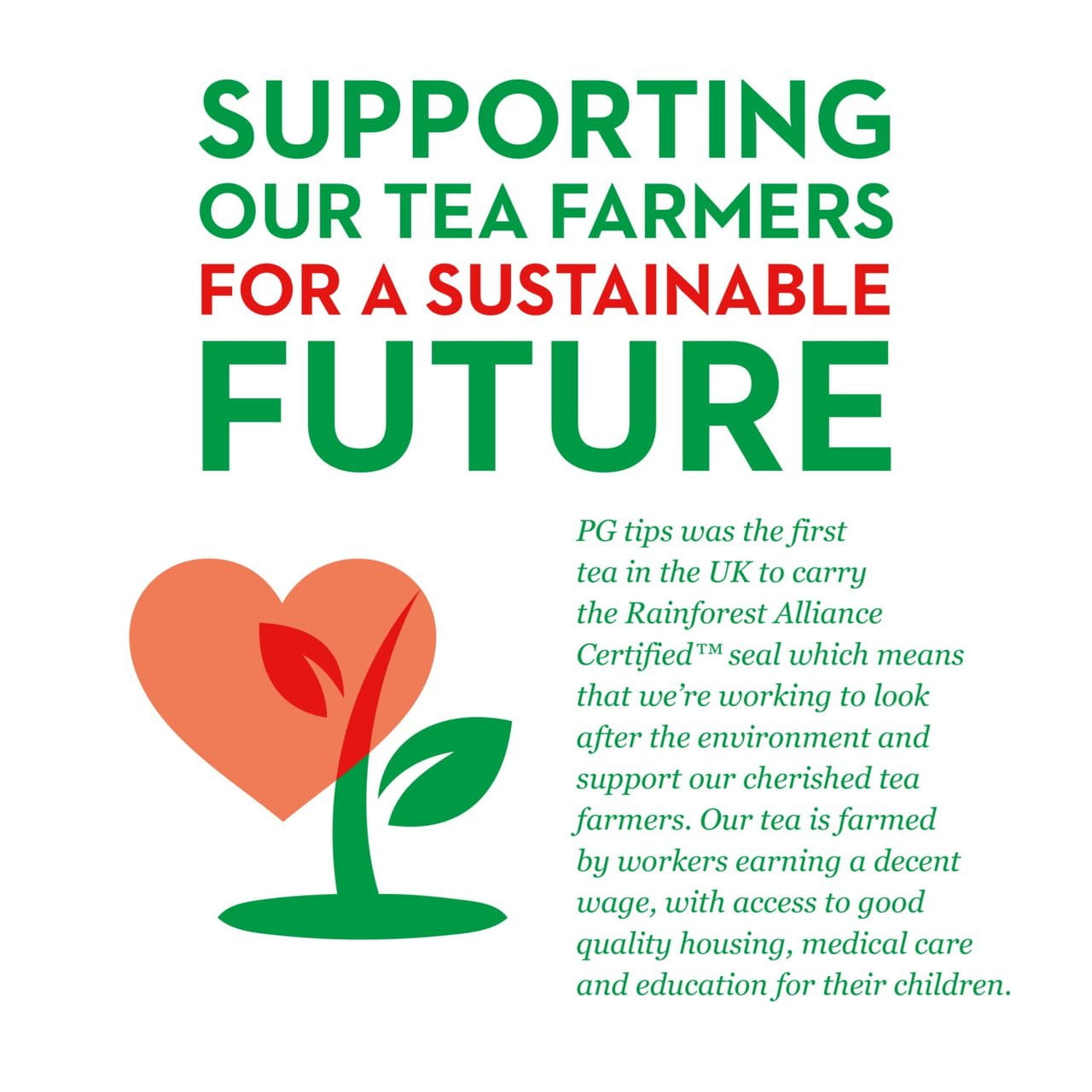 PG Tips Gold Teabags 70 per pack 2.jpg