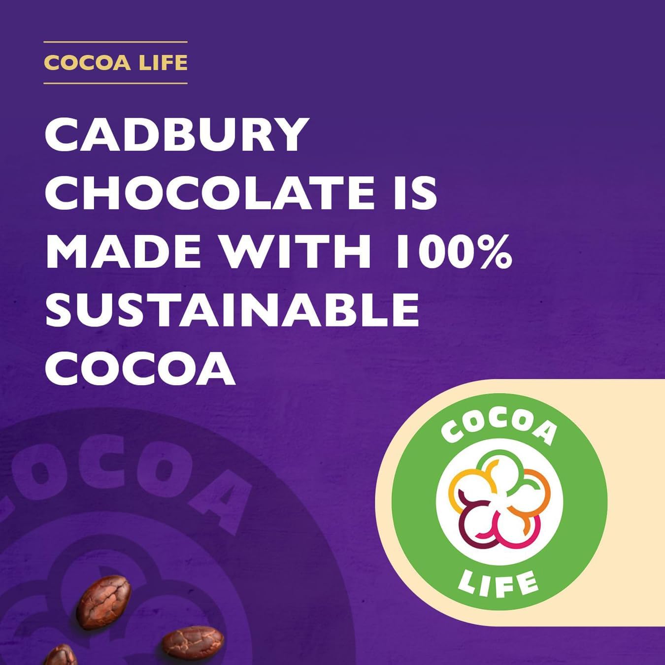 Cadbury Choco Sandwhich Biscuits 4.jpg