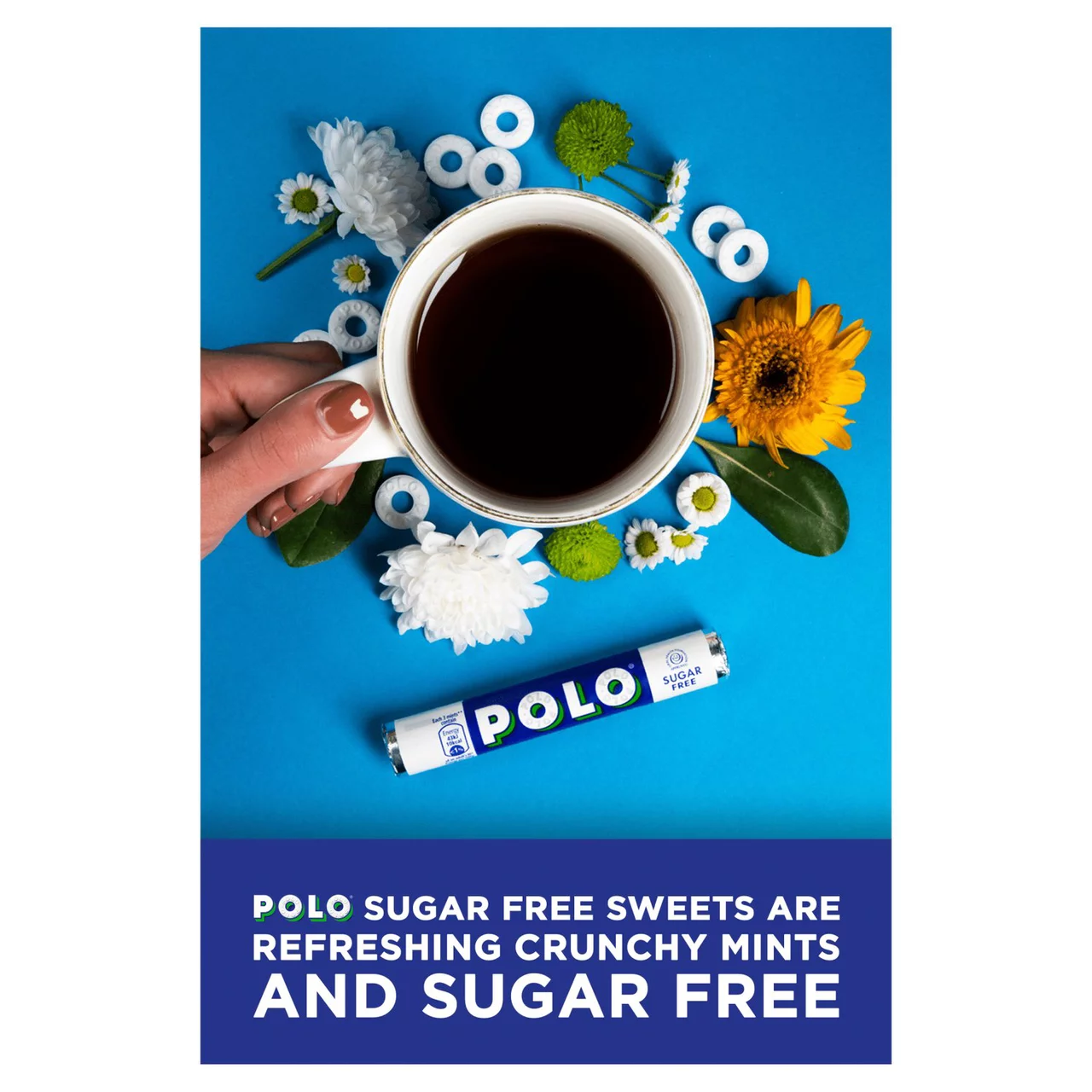 Polo Sugar Free Multipack 2.webp