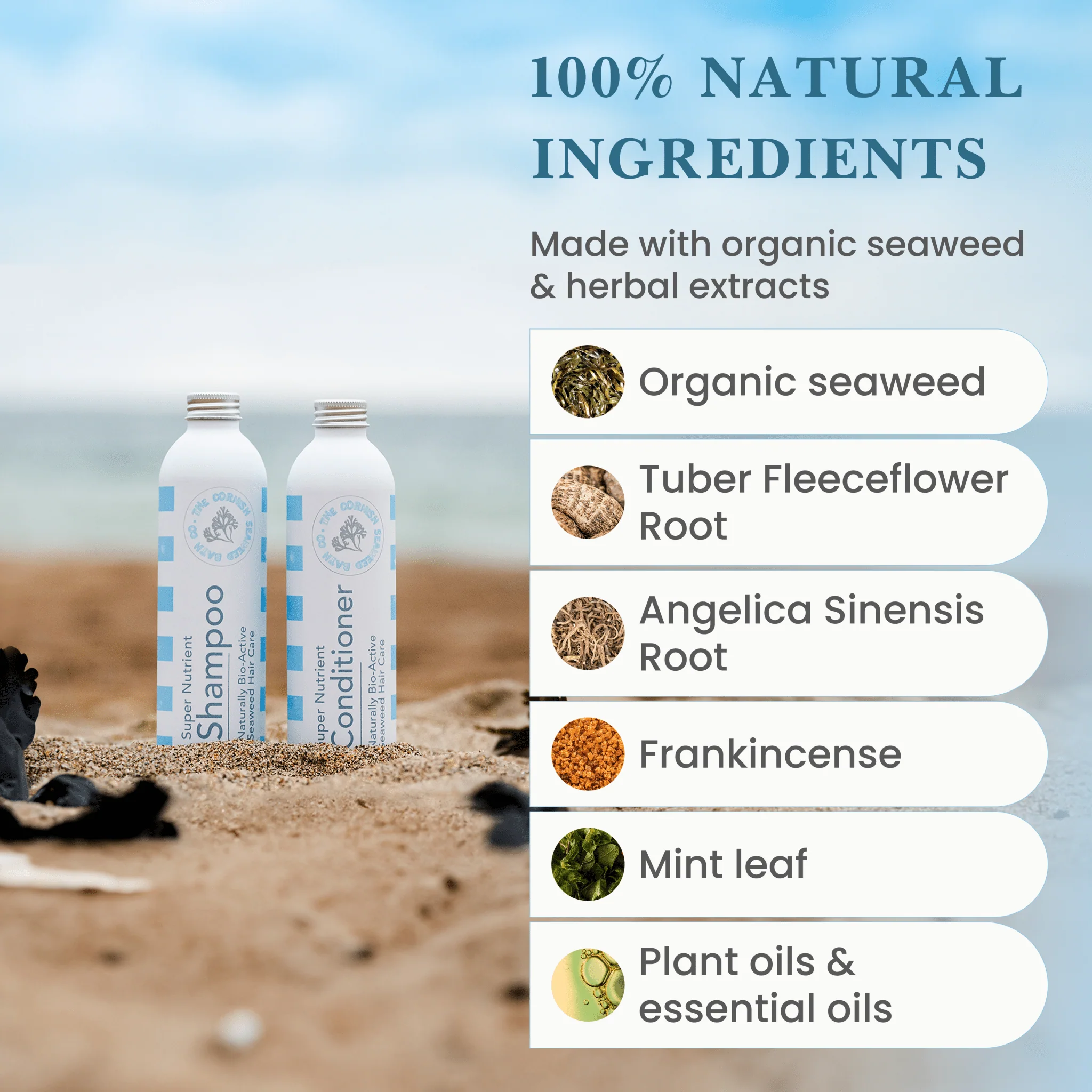 The Cornish Seaweed Bath Co Bio-Active, Natural, Seaweed & Herbal Super Nutrient Shampoo  250ml 4.webp